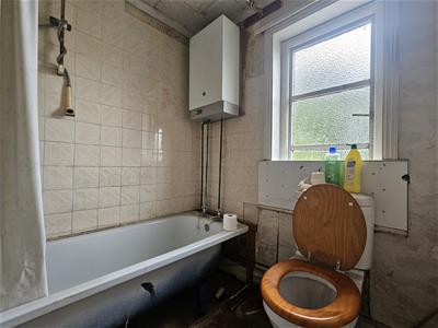 Picture 5